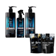 TRUSS 1C26 PERFECT BALAYAGE SYSTEM AND LIGHTENING POWDER